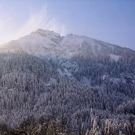 Haus Burgel Inklusive Koenigscard