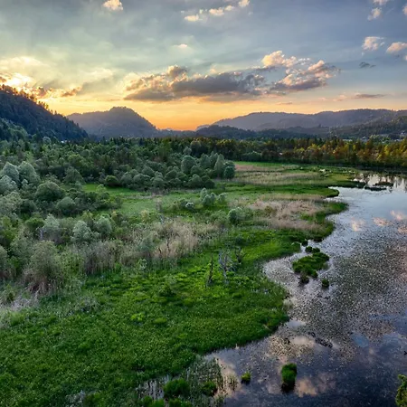 Lägenhet Haus Burgel Inklusive Koenigscard