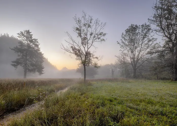 公寓 Haus Burgel Inklusive Koenigscard