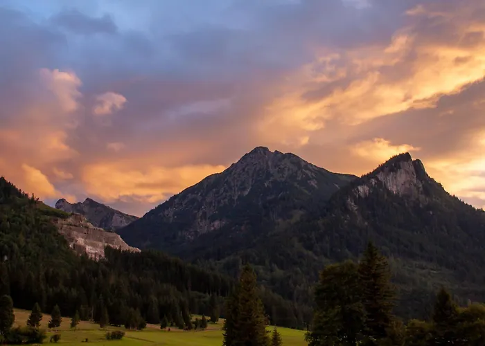 Haus Burgel Inklusive Koenigscard 公寓 菲尔斯