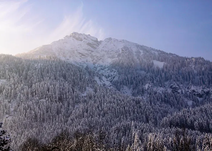 Haus Burgel Inklusive Koenigscard