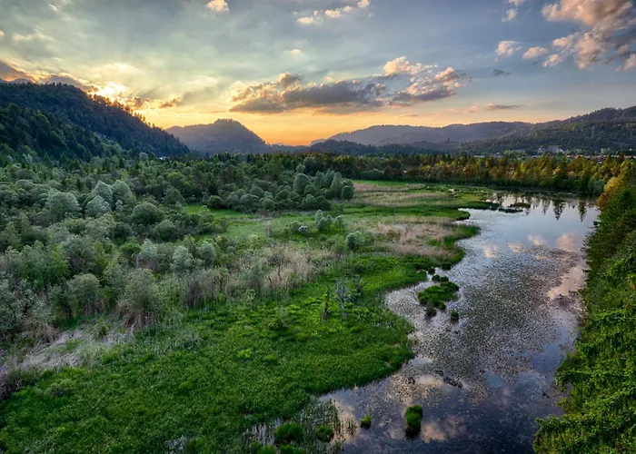 Διαμέρισμα Haus Burgel Inklusive Koenigscard