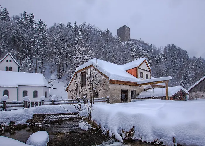 公寓 Haus Burgel Inklusive Koenigscard *