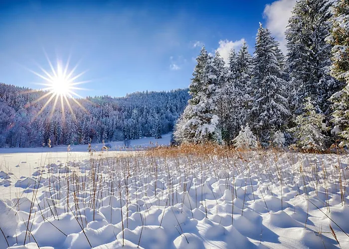 Haus Burgel Inklusive Koenigscard 公寓 *