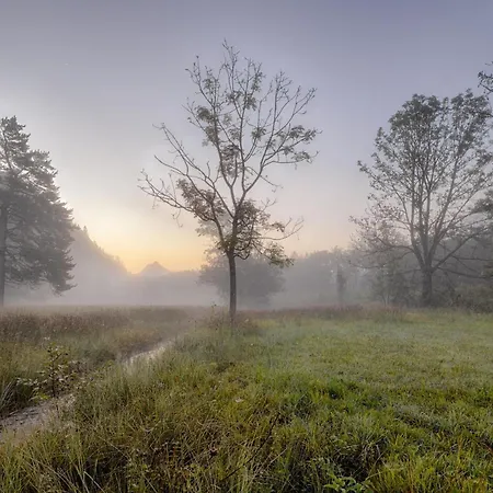 Apartment Haus Burgel Inklusive Koenigscard