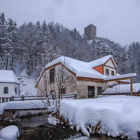 Apartment Haus Burgel Inklusive Koenigscard *