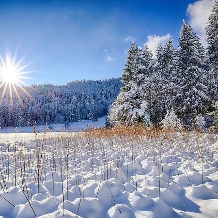 Haus Burgel Inklusive Koenigscard Apartment *